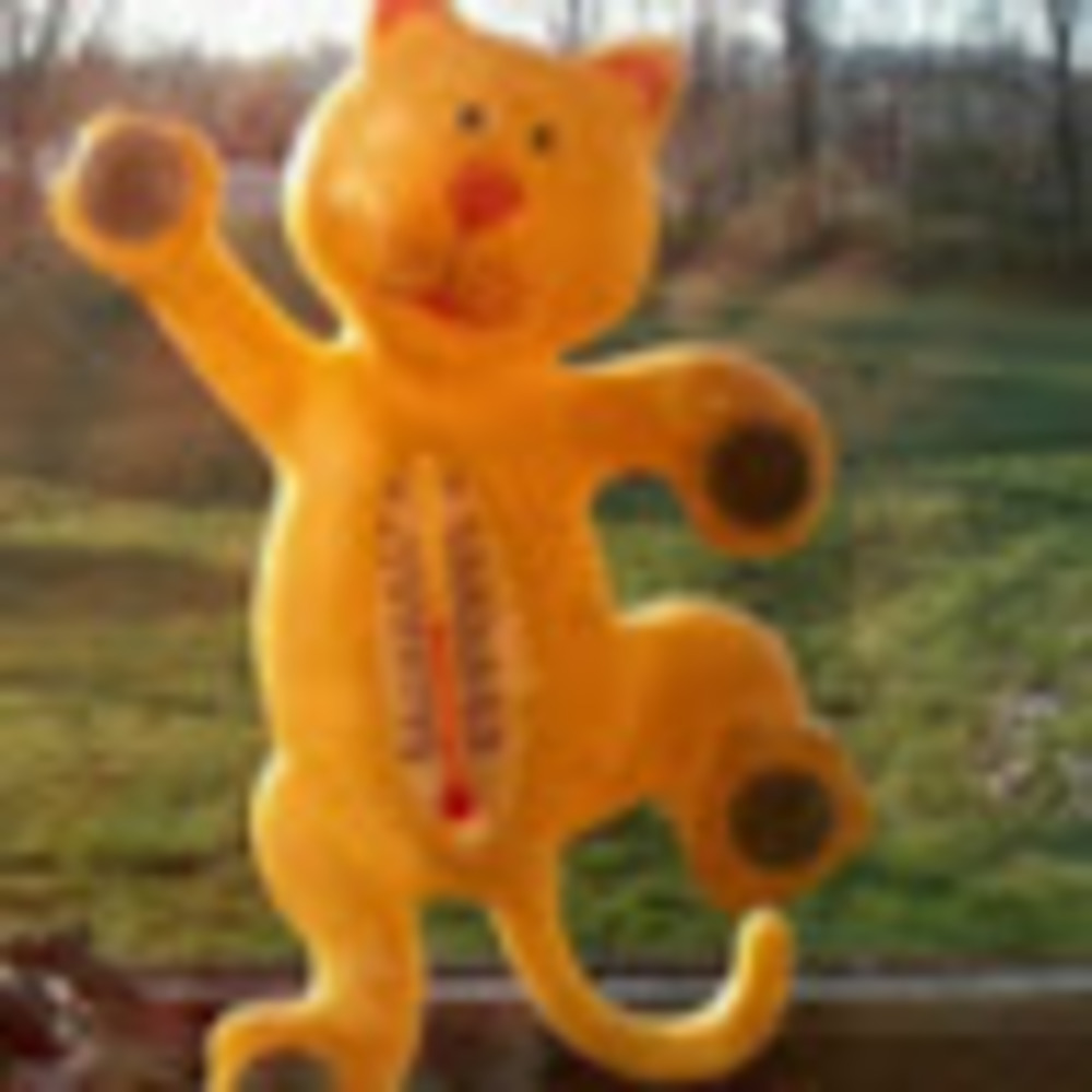 Meet your Posher, Maylin